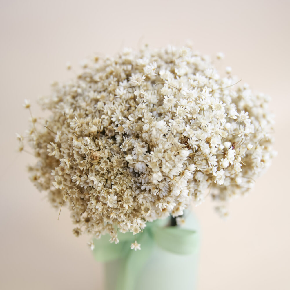 Trockenblumen Strauss Marcela