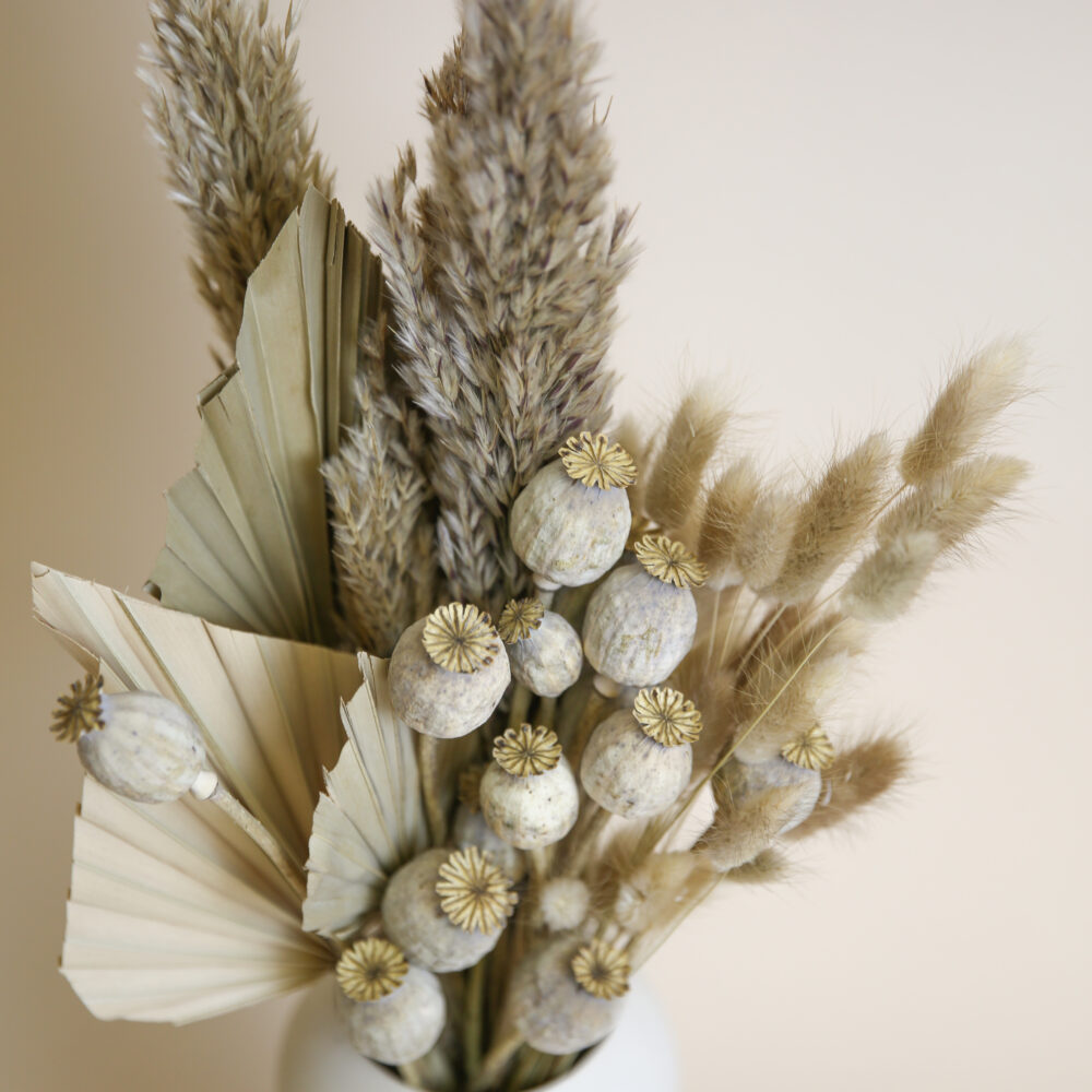 Trockenblumen Strauss Papaver